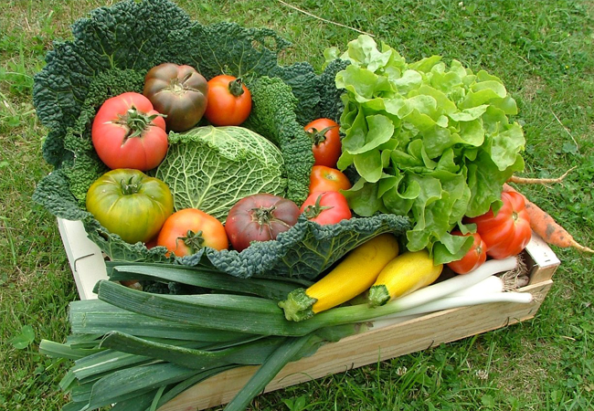 Hygiène Alimentaire